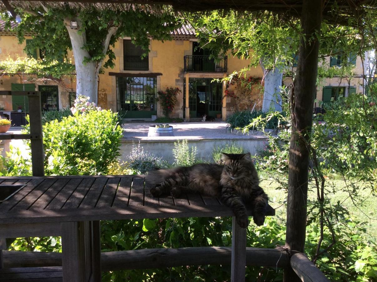 La bergerie de Castellan Bed and Breakfast Verquieres Exterior foto
