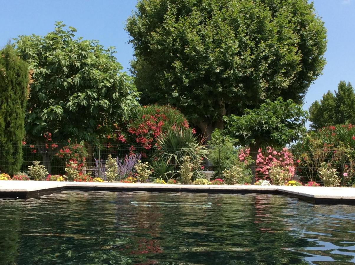 La bergerie de Castellan Bed and Breakfast Verquieres Exterior foto